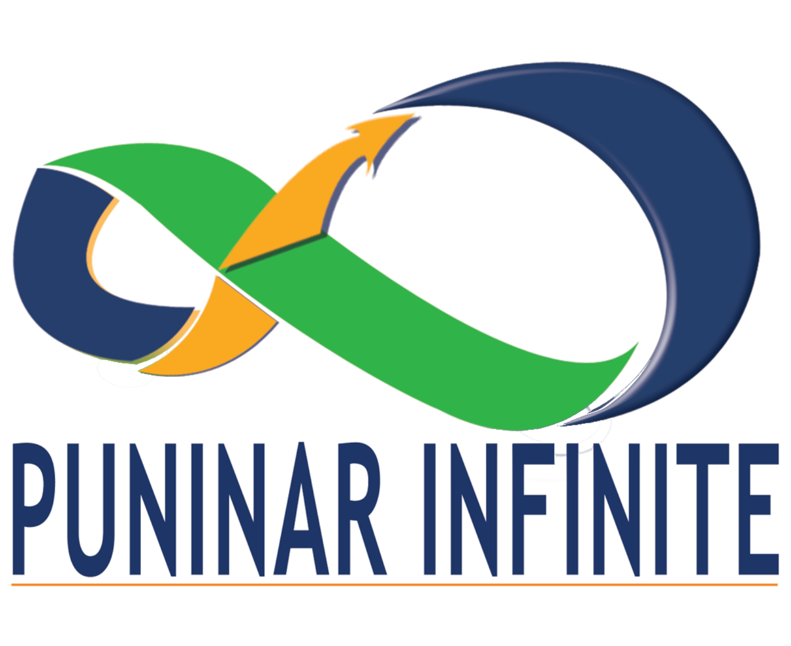 Puninar Infinite Logo